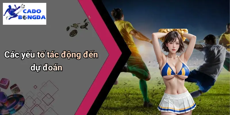 Dự đoán 1 Dự Đoán