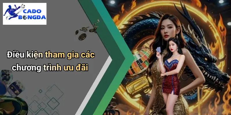Điều Khoản Điều Kiện