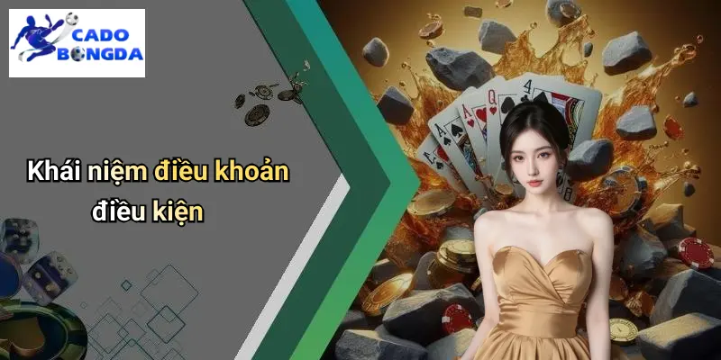Điều Khoản Điều Kiện