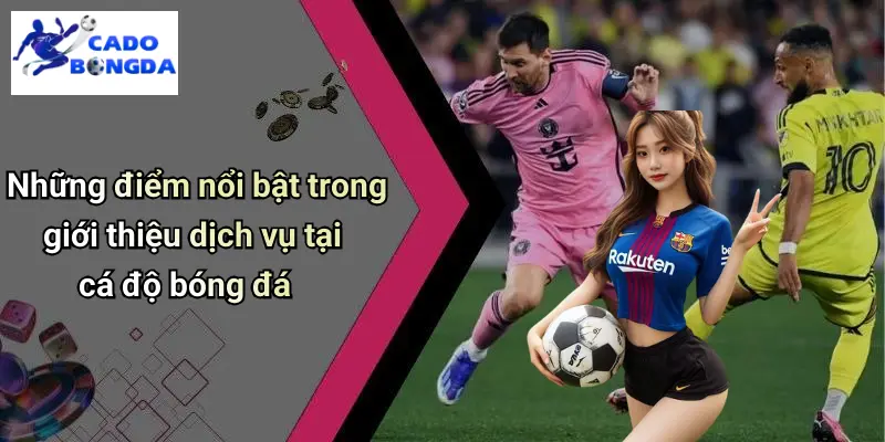 Giới Thiệu 3 Giới Thiệu