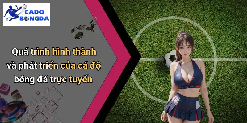 Cá độ bóng đá 67 Cá Độ Bóng Đá