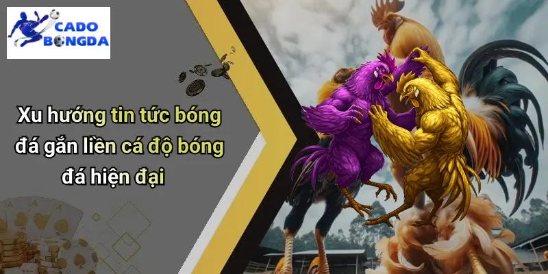 Tin Tức Bóng Đá