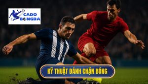 Kỹ thuật đánh chặn bóng