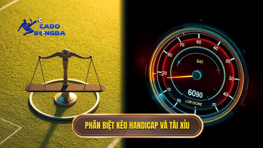 Nên chơi kèo bóng đá Tài Xỉu hay Handicap? Phân tích chi tiết từ chuyên gia 1 Phân biệt kèo Handicap và Tài Xỉu