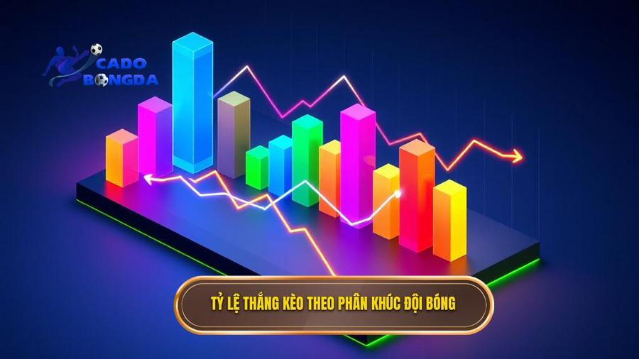 3. Tỷ lệ thắng kèo theo phân khúc đội bóng