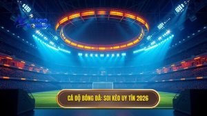 Top website soi kèo bóng đá uy tín nhất 2026