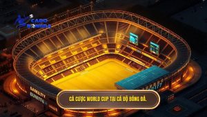 cá cược bóng đá World Cup