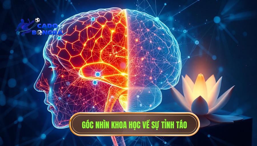 Phân tích đa chiều: Sự tỉnh táo dưới góc độ khoa học và tâm lý học
