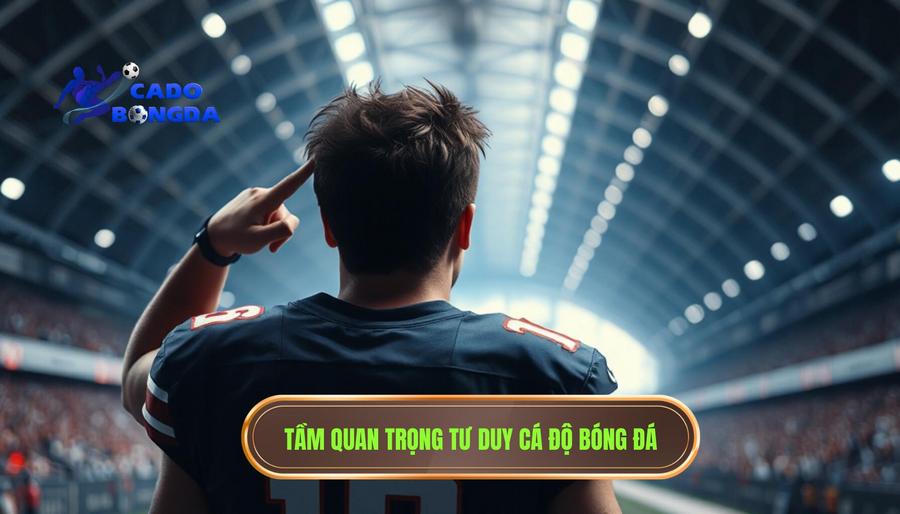 Tầm quan trọng của tư duy đúng tại CÁ ĐỘ BÓNG ĐÁ